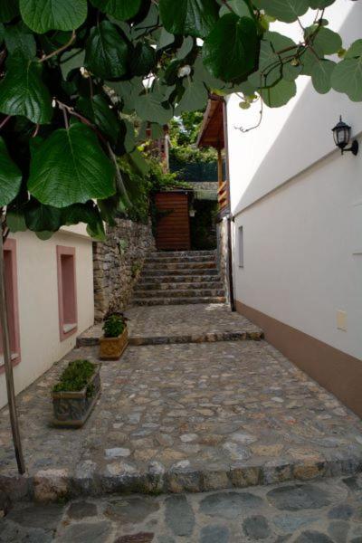 Villa Scandik Ohrid Exteriör bild